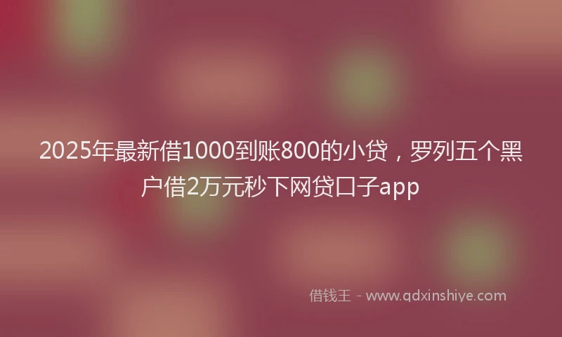 2025年最新借1000到账800的小贷，罗列五个黑户借2万元秒下网贷口子app
