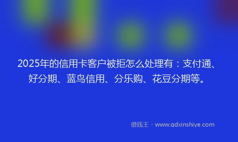 2025年的信用卡客户被拒怎么处理有：支付通、好分期、蓝鸟信用、分乐购、花豆分期等。