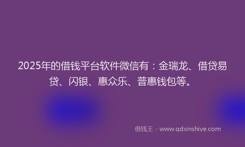 2025年的借钱平台软件微信有：金瑞龙、借贷易贷、闪银、惠众乐、普惠钱包等。