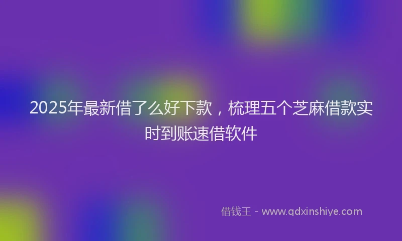 2025年最新借了么好下款，梳理五个芝麻借款实时到账速借软件