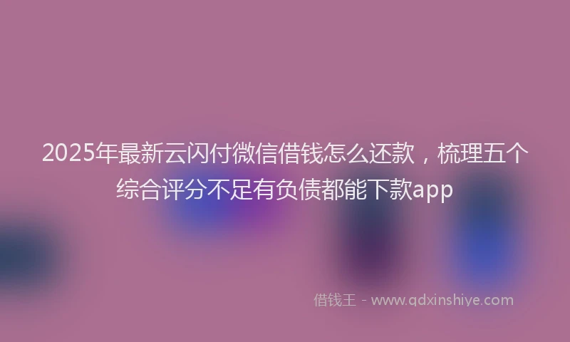 2025年最新云闪付微信借钱怎么还款，梳理五个综合评分不足有负债都能下款app