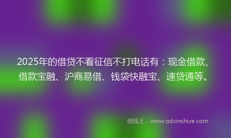 2025年的借贷不看征信不打电话有：现金借款、借款宝融、沪商易借、钱袋快融宝、速贷通等。