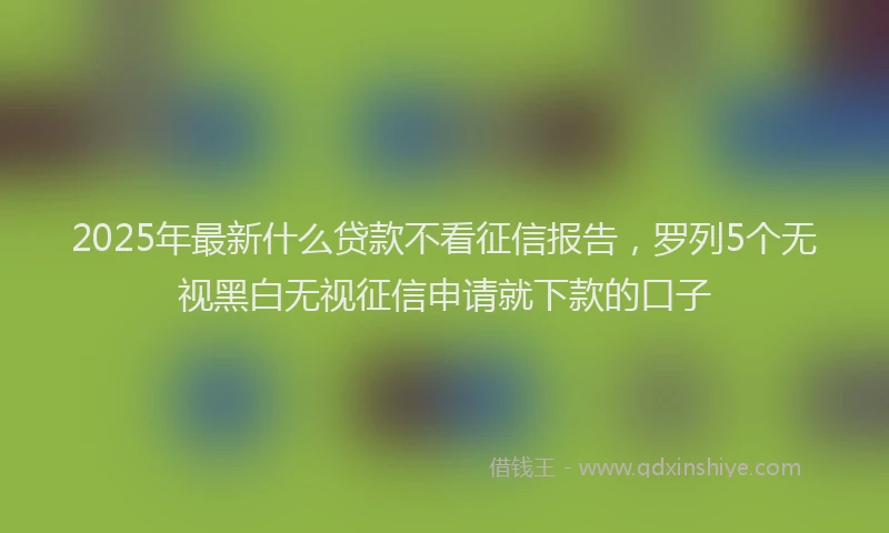 2025年最新什么贷款不看征信报告，罗列5个无视黑白无视征信申请就下款的口子