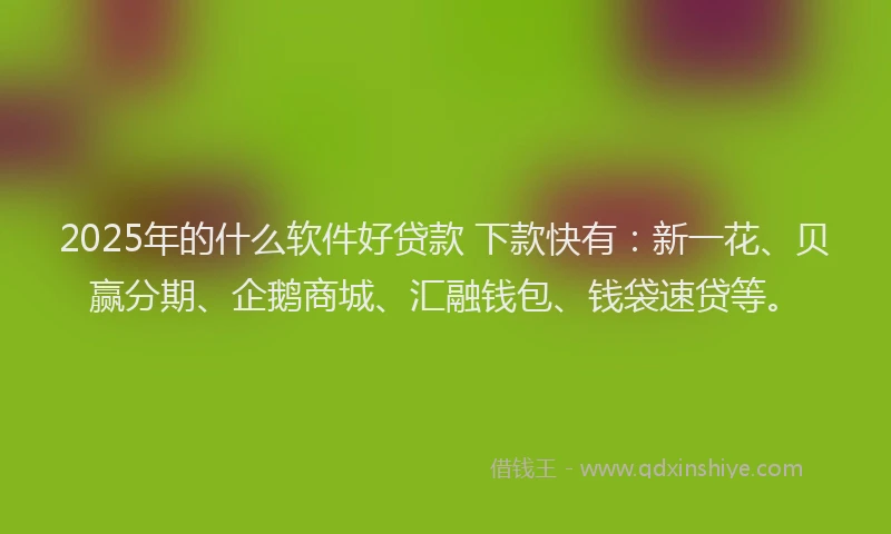 2025年的什么软件好贷款 下款快有：新一花、贝赢分期、企鹅商城、汇融钱包、钱袋速贷等。