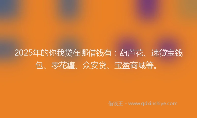 2025年的你我贷在哪借钱有：葫芦花、速贷宝钱包、零花罐、众安贷、宝盈商城等。