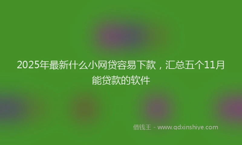 2025年最新什么小网贷容易下款，汇总五个11月能贷款的软件
