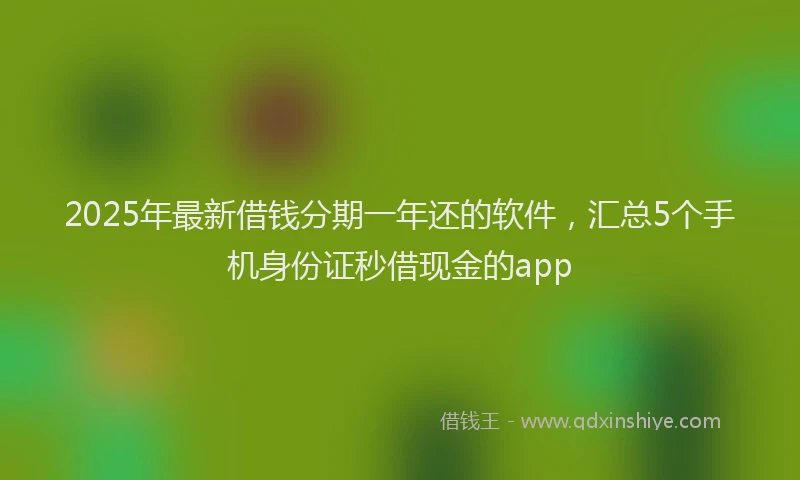 2025年最新借钱分期一年还的软件，汇总5个手机身份证秒借现金的app