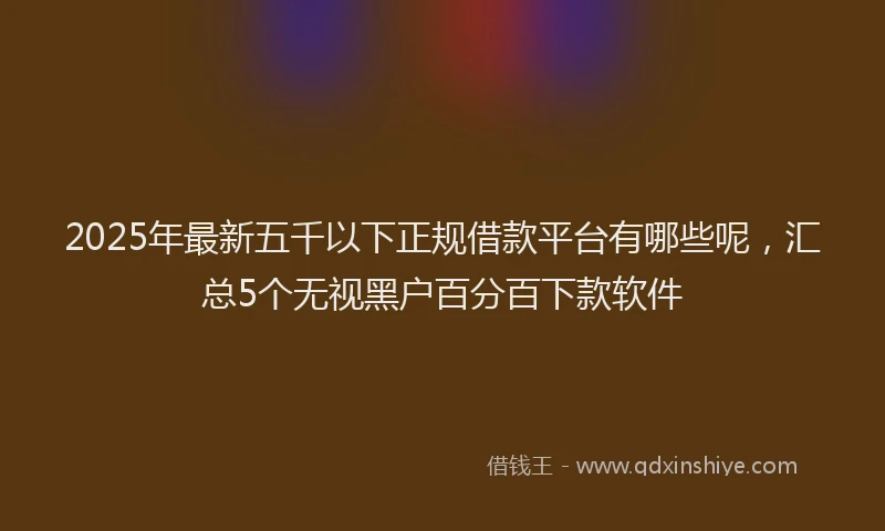 2025年最新五千以下正规借款平台有哪些呢，汇总5个无视黑户百分百下款软件
