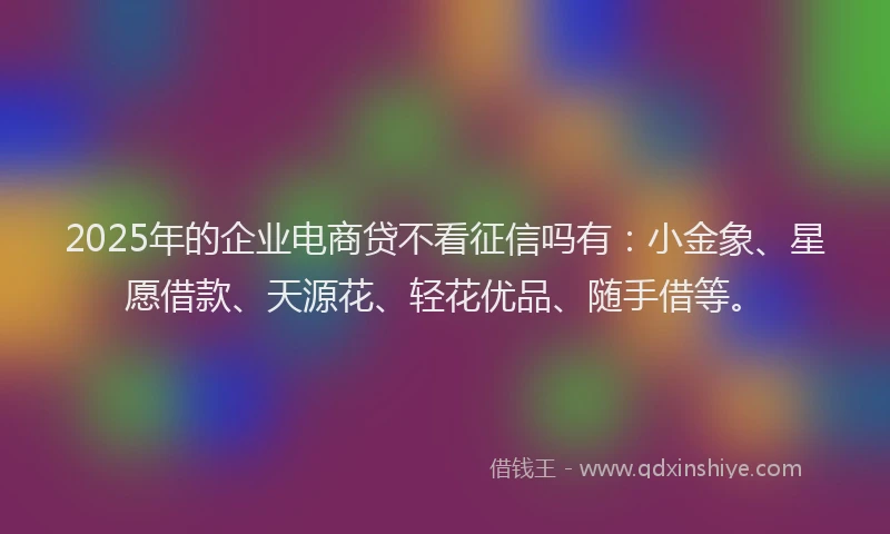 2025年的企业电商贷不看征信吗有：小金象、星愿借款、天源花、轻花优品、随手借等。