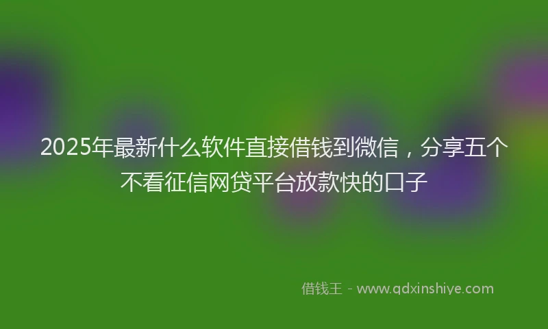 2025年最新什么软件直接借钱到微信，分享五个不看征信网贷平台放款快的口子