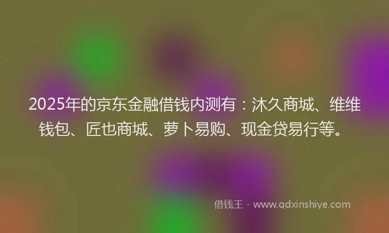 2025年的京东金融借钱内测有：沐久商城、维维钱包、匠也商城、萝卜易购、现金贷易行等。