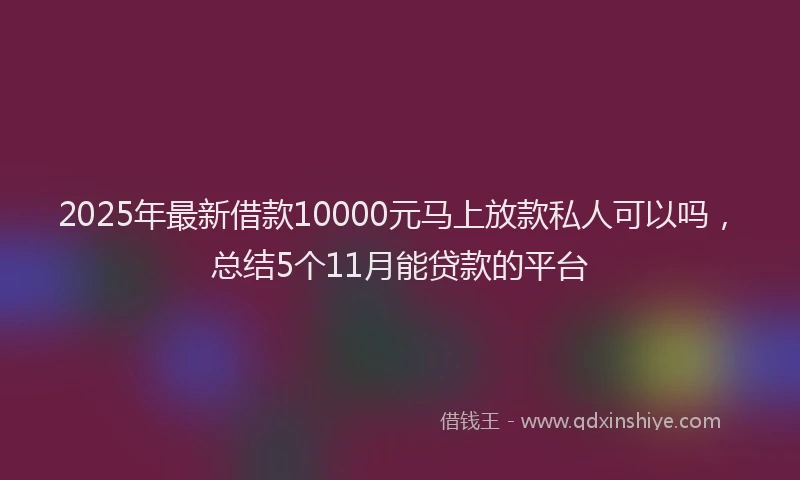 2025年最新借款10000元马上放款私人可以吗，总结5个11月能贷款的平台