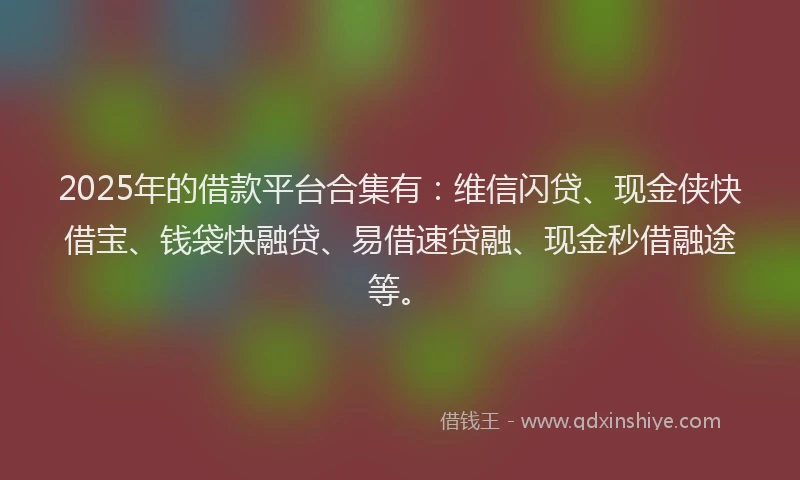 2025年的借款平台合集有：维信闪贷、现金侠快借宝、钱袋快融贷、易借速贷融、现金秒借融途等。
