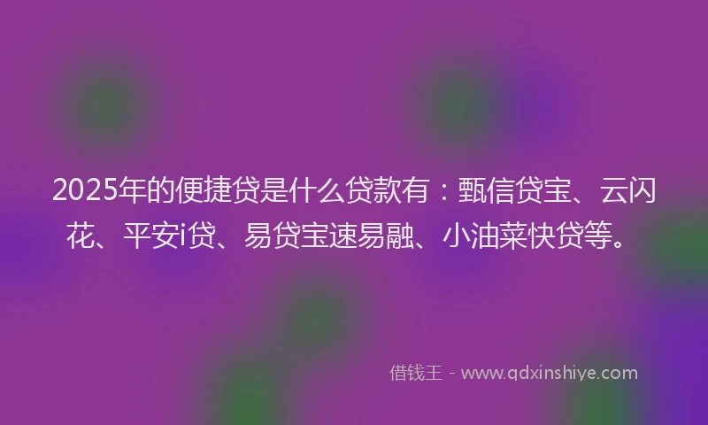 2025年的便捷贷是什么贷款有：甄信贷宝、云闪花、平安i贷、易贷宝速易融、小油菜快贷等。