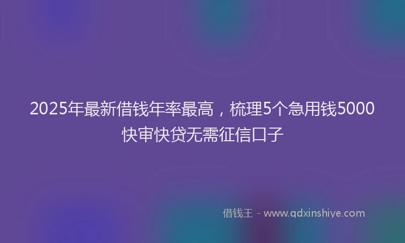 2025年最新借钱年率最高，梳理5个急用钱5000快审快贷无需征信口子