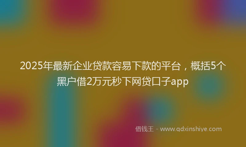 2025年最新企业贷款容易下款的平台，概括5个黑户借2万元秒下网贷口子app