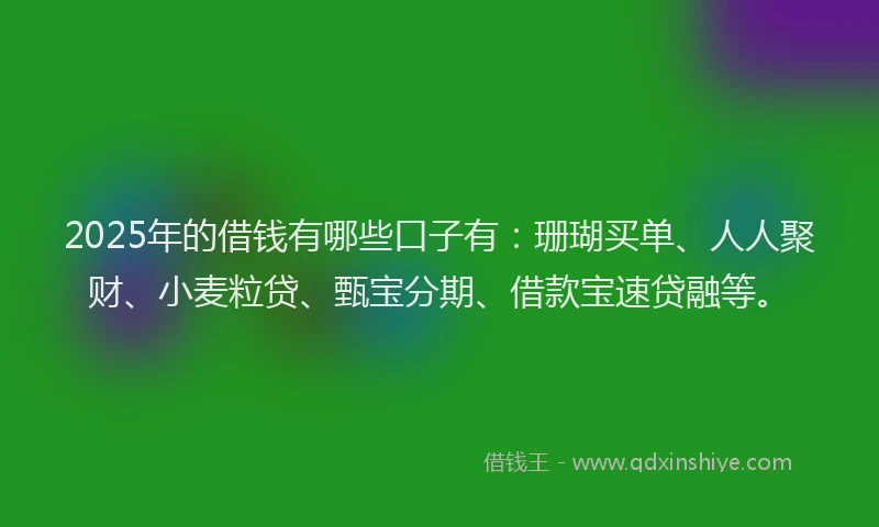 2025年的借钱有哪些口子有：珊瑚买单、人人聚财、小麦粒贷、甄宝分期、借款宝速贷融等。