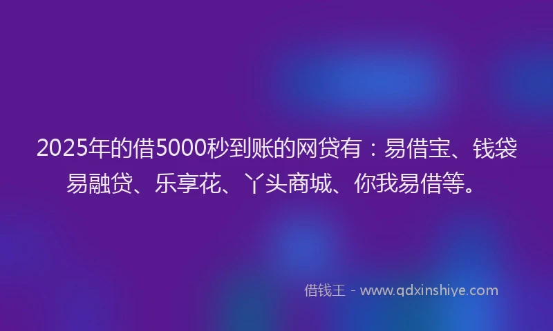 2025年的借5000秒到账的网贷有：易借宝、钱袋易融贷、乐享花、丫头商城、你我易借等。
