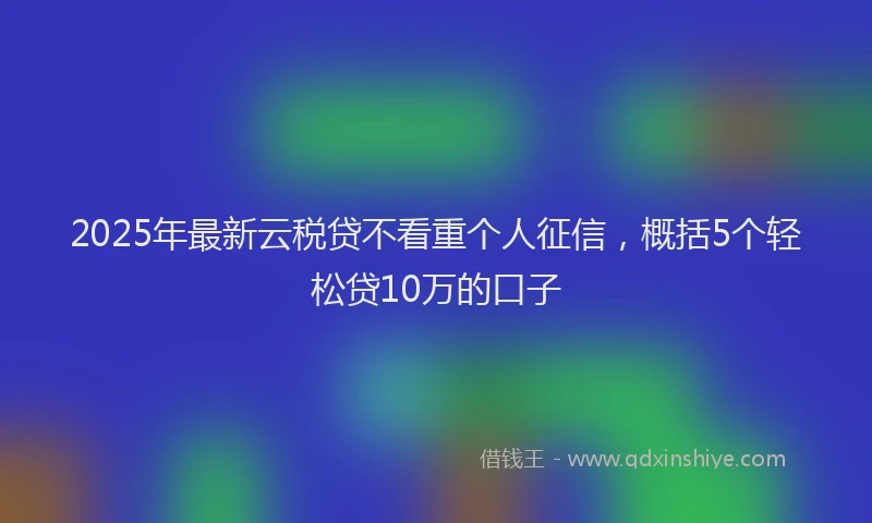 2025年最新云税贷不看重个人征信，概括5个轻松贷10万的口子
