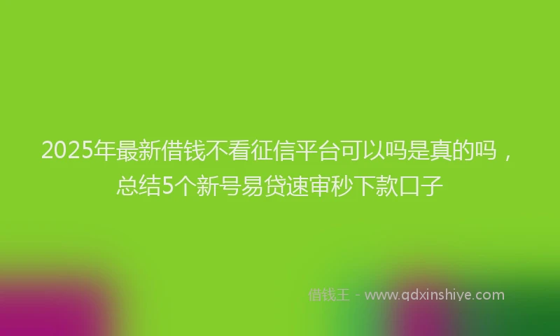 2025年最新借钱不看征信平台可以吗是真的吗，总结5个新号易贷速审秒下款口子