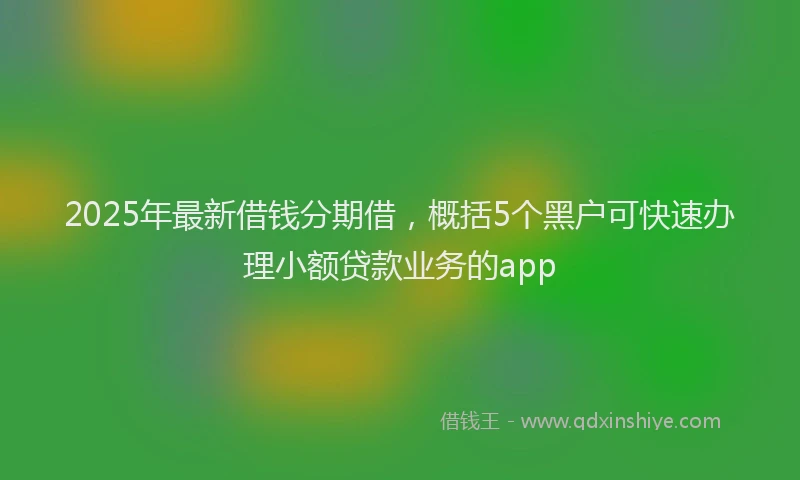 2025年最新借钱分期借，概括5个黑户可快速办理小额贷款业务的app