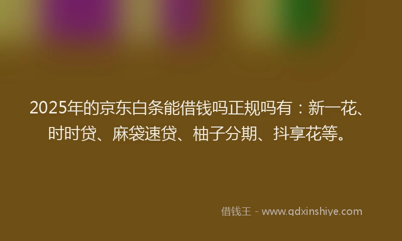 2025年的京东白条能借钱吗正规吗有：新一花、时时贷、麻袋速贷、柚子分期、抖享花等。