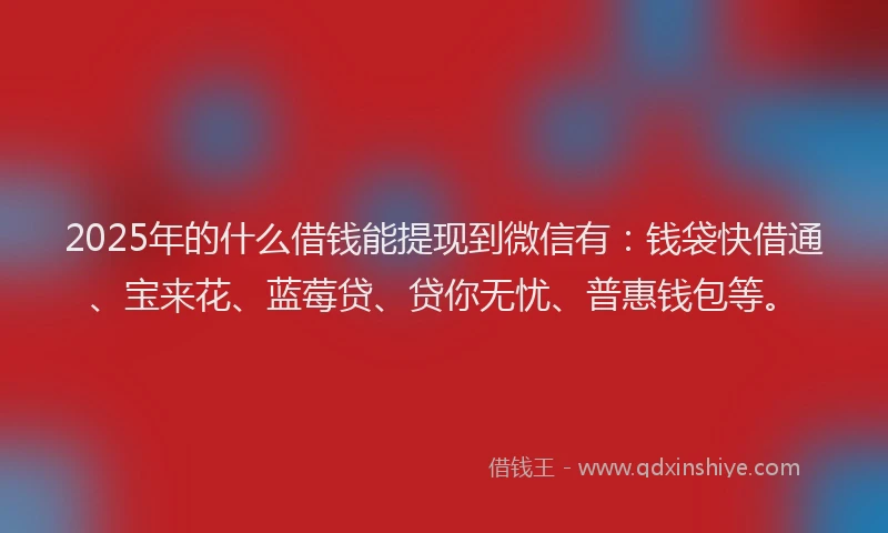 2025年的什么借钱能提现到微信有：钱袋快借通、宝来花、蓝莓贷、贷你无忧、普惠钱包等。