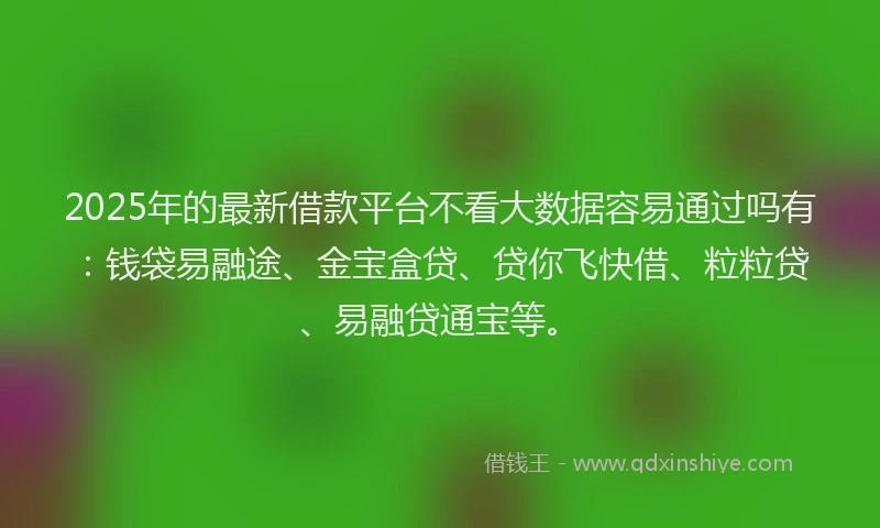 2025年的最新借款平台不看大数据容易通过吗有：钱袋易融途、金宝盒贷、贷你飞快借、粒粒贷、易融贷通宝等。