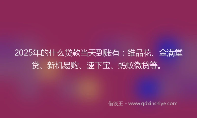 2025年的什么贷款当天到账有：维品花、金满堂贷、新机易购、速下宝、蚂蚁微贷等。