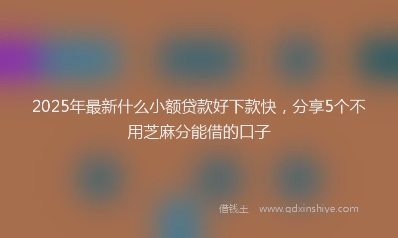 2025年最新什么小额贷款好下款快，分享5个不用芝麻分能借的口子