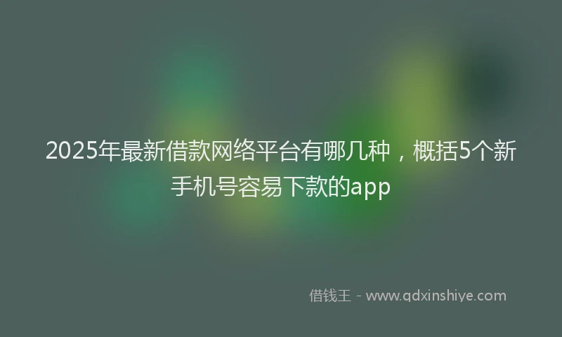 2025年最新借款网络平台有哪几种，概括5个新手机号容易下款的app