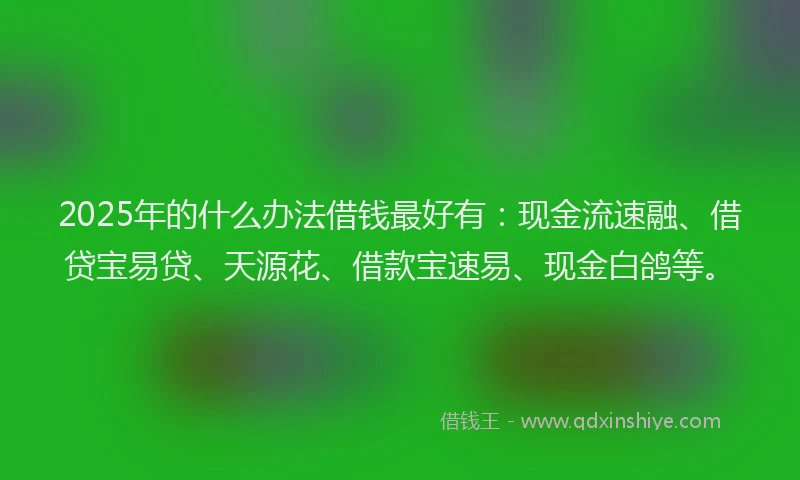2025年的什么办法借钱最好有：现金流速融、借贷宝易贷、天源花、借款宝速易、现金白鸽等。