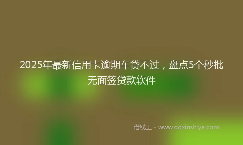 2025年最新信用卡逾期车贷不过，盘点5个秒批无面签贷款软件