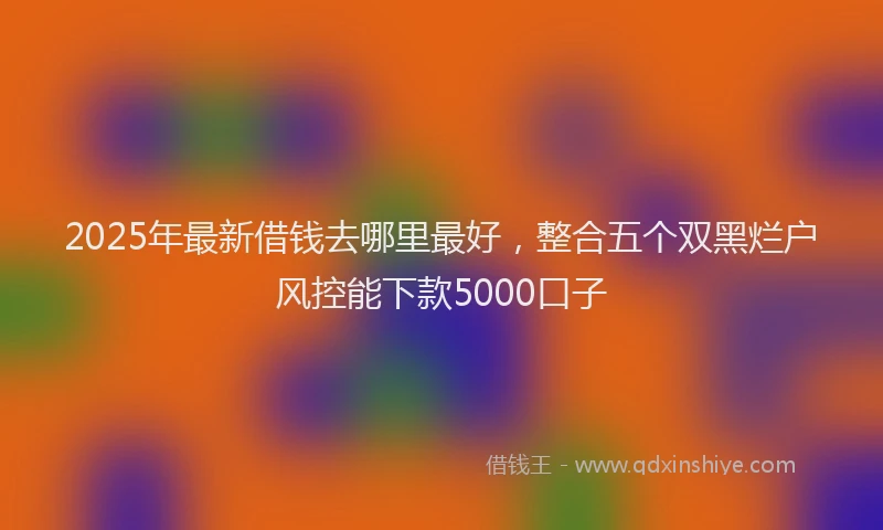 2025年最新借钱去哪里最好，整合五个双黑烂户风控能下款5000口子