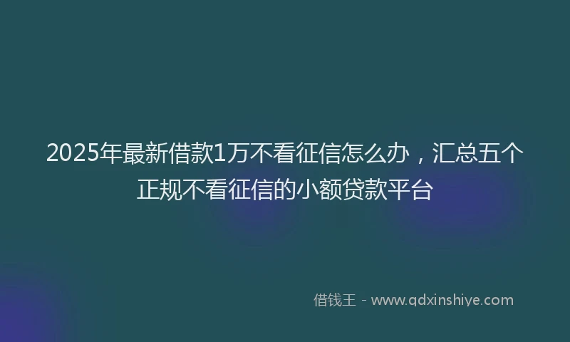 2025年最新借款1万不看征信怎么办，汇总五个正规不看征信的小额贷款平台