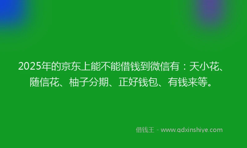 2025年的京东上能不能借钱到微信有：天小花、随信花、柚子分期、正好钱包、有钱来等。