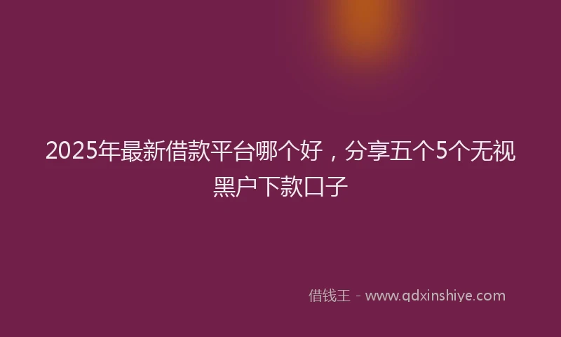 2025年最新借款平台哪个好，分享五个5个无视黑户下款口子