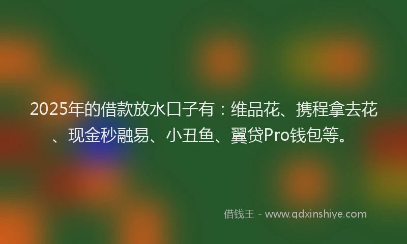 2025年的借款放水口子有：维品花、携程拿去花、现金秒融易、小丑鱼、翼贷Pro钱包等。