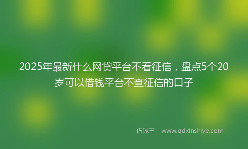 2025年最新什么网贷平台不看征信，盘点5个20岁可以借钱平台不查征信的口子