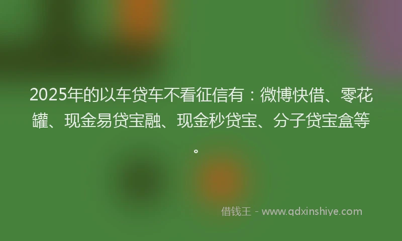 2025年的以车贷车不看征信有：微博快借、零花罐、现金易贷宝融、现金秒贷宝、分子贷宝盒等。