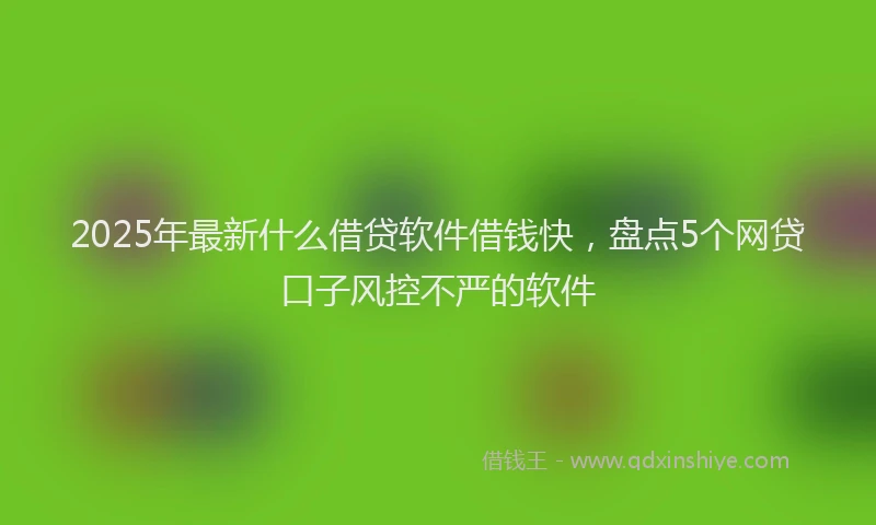 2025年最新什么借贷软件借钱快，盘点5个网贷口子风控不严的软件