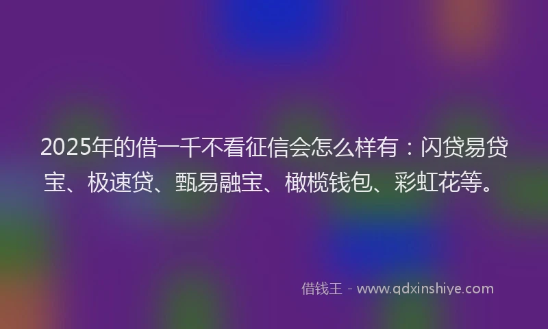 2025年的借一千不看征信会怎么样有：闪贷易贷宝、极速贷、甄易融宝、橄榄钱包、彩虹花等。