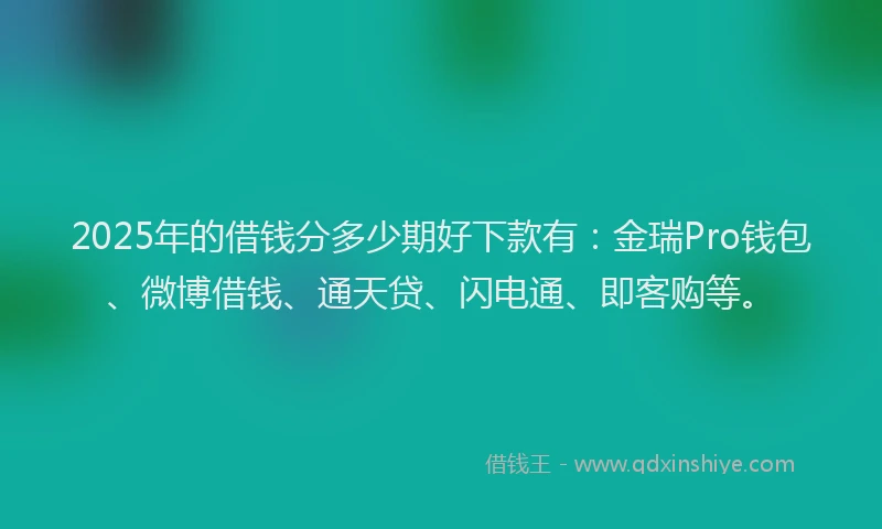 2025年的借钱分多少期好下款有：金瑞Pro钱包、微博借钱、通天贷、闪电通、即客购等。