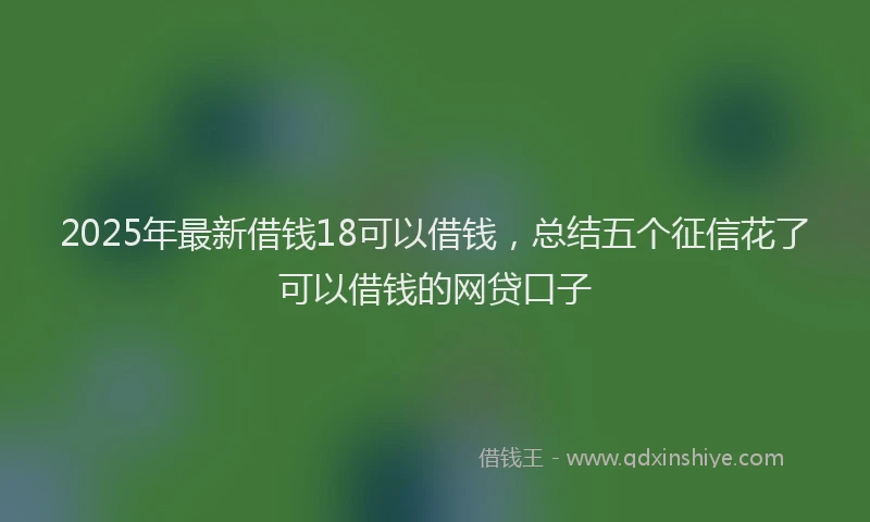 2025年最新借钱18可以借钱，总结五个征信花了可以借钱的网贷口子