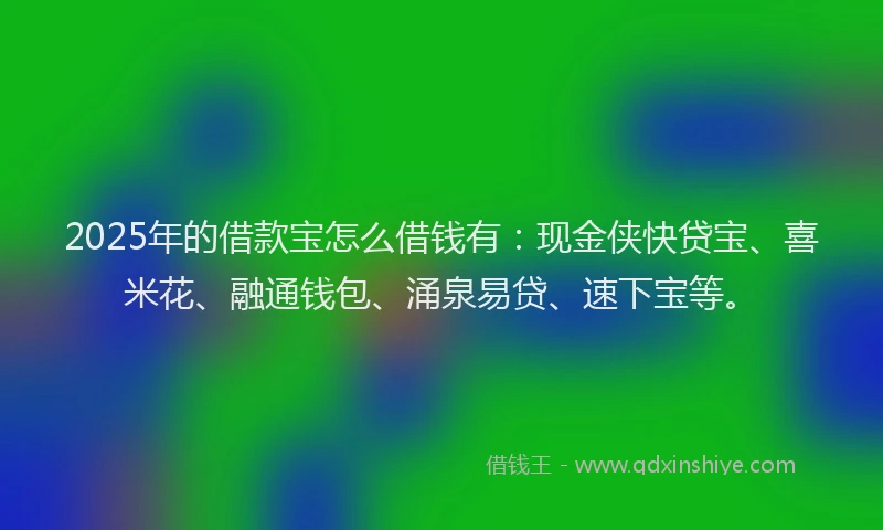 2025年的借款宝怎么借钱有：现金侠快贷宝、喜米花、融通钱包、涌泉易贷、速下宝等。