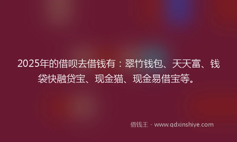 2025年的借呗去借钱有：翠竹钱包、天天富、钱袋快融贷宝、现金猫、现金易借宝等。