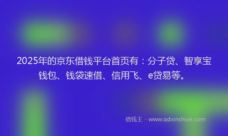 2025年的京东借钱平台首页有：分子贷、智享宝钱包、钱袋速借、信用飞、e贷易等。