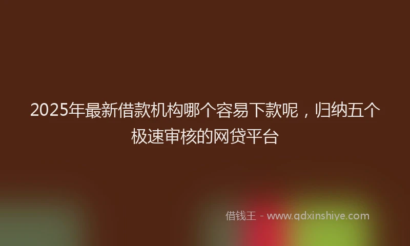 2025年最新借款机构哪个容易下款呢，归纳五个极速审核的网贷平台