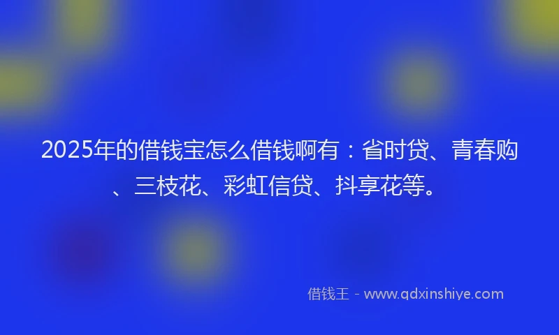 2025年的借钱宝怎么借钱啊有：省时贷、青春购、三枝花、彩虹信贷、抖享花等。