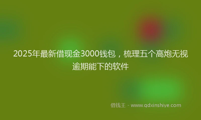 2025年最新借现金3000钱包，梳理五个高炮无视逾期能下的软件